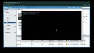 AKIRA Ransomware Virus Removal and Files Decryption | ESXI Server Decryption Guide with Akira