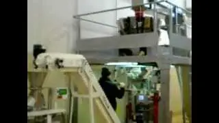 Confezionamento di taralli con multitesta - Comec srl
