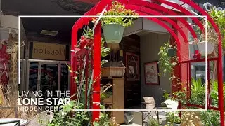 Downtown Houston bar serves up unique at scene, local history