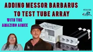 Adding Messor Barbarus to Test Tube Array