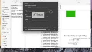 Flash Video Production Workflow 02