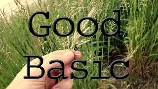 Good & Basic Intro
