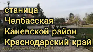 Станица Челбасская Каневской район Краснодарский край. Улицы, дома, центр.