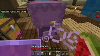 Minecraft WolfSMP
