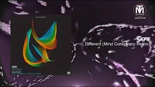 Ziger - Different (Mind Conspiracy Remix) [Eat My Hat Music]