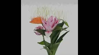 Liquid Image Displacement &ndash; TouchDesigner Flower Experiment