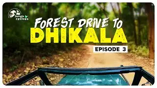 Road to Dhikala | Jim Corbett National Park Dhikala Zone| Episode 3