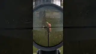 Watch your back! #dayz #dayzstandalone #dayzgameplay