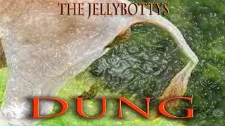 Dung Song Music Video By The Jellybottys - Not A.I Music