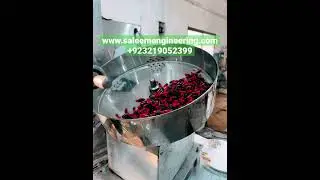 Capsule/tablets/pills sachet packing machine #shorts #machine