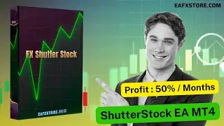 ShutterStock EA MT4 Review and Backtest