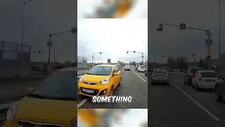 Wrong-Way Driver Gets an Unexpected Defender #shorts
