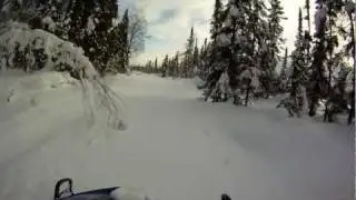 Bearcat 570 breaks trail for a Skandic, RMK700, Panther, and three Polaris sleds in Alaska
