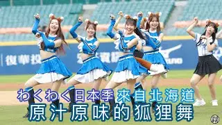 富邦悍將 わくわく日本季 原汁原味的狐狸舞