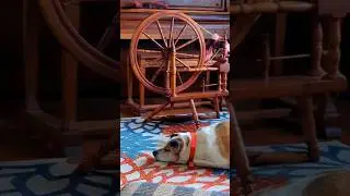 Handspun yarns aesthetic crafts cottagecore cozy crafting wool yarn spinning wheel hobby farm dog