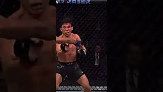 The best moment in ufc #ufc #respect #shorts
