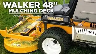 Приобрел для демонстрации мульчирующую деку Walker 48 дюймов!