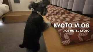 【Vlog】エースホテル京都 | 犬と泊まれるホテル | 社員旅行