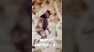 1967 BIGFOOT Patterson Gimlin footage of 'Patty'