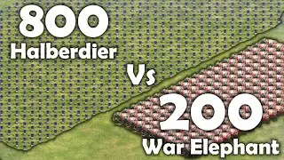 800 Pikeman Vs 200 War Elephant || Age of Empire II: Definitive Edition || Unexpected Result