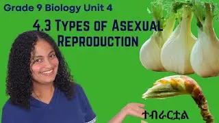Grade 9 Unit 4 : 4.3 Types of Asexual Reproduction|saquama|