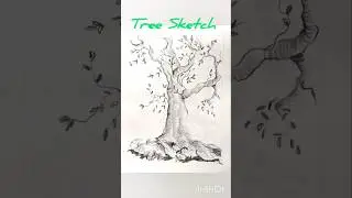 Tree Pencil Sketch Drawing🌳 ✏️ #drawing #pencilsketch #tree #painting #trending #shots #viral #art