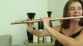 MARCHA TURCA  (Mozart )