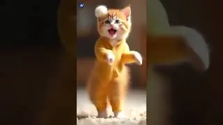 #fannycatdance #CatDance #DancingKitty #FelineMoves  #PurrfectDancer #WhiskerWiggle #CatVideoTrend