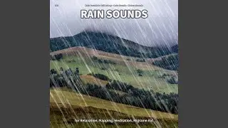 Rain Sounds, Pt. 42