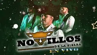 Novillos Dela Sierra: Puras Norteñas Chingonas y Corridos Que No Puedes Dejar de Escuchar