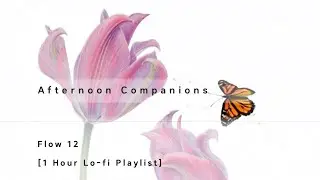 조용히 곁에 머무는 Lo-fi 🌿 휴식·사색·집중을 위한 1시간 로파이 | Flow 12