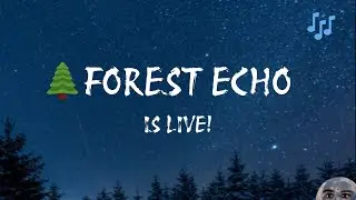 Mystical Forest Echo 🌲 | Chill Ambient DJ Beat ( Englsih Lyrics )