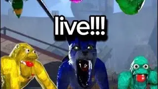 playing ac live!