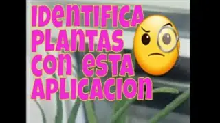 #SHORTS #plants IDENTIFICA PLANTAS CON ESTA APLICACION