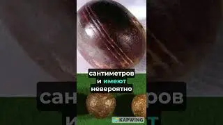 ПИРОФИЛЛИТОВЫЕ РУКОТВОРНЫЕ СФЕРЫ ВОЗРАСТОМ 3 МИЛЛИАРДА ЛЕТ