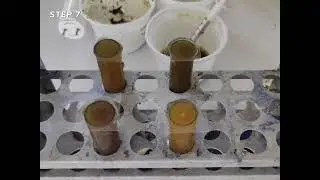 VET PARA 2 | Nematodes of Goats Lab 2  | (G1, 2023)