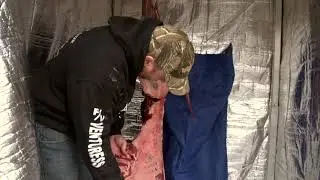 How to Quarter a Whitetail