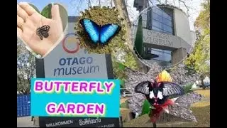 BUTTERFLY GARDEN | OTAGO MUSEUM | DUNEDIN NZ