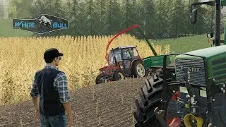 Silage on The Hill of Slovenia 19
