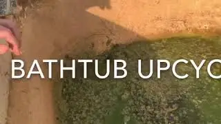Cleaning an upcycled bathtub being used for a horse trough
