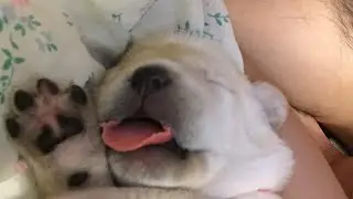 Мила и первенец