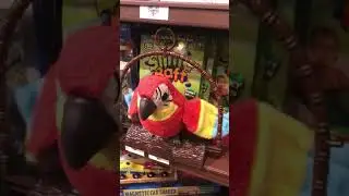 Talking Parrot toy at Cracker Barrel