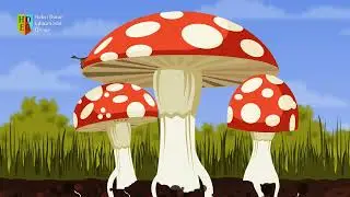 Должно быть, разрушители | Научные песни для детей, изучающих английский | Песенный клуб Хелен Дорон