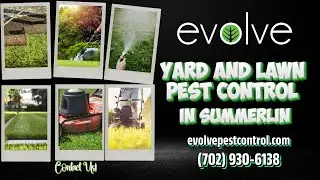 Yard And Lawn Pest Control In Summerlin | Evolve Pest Control Summerlin