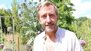 Dave Goulson – Growing Flowers to Save the World #FOODTALK