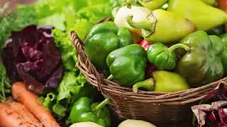 Welcome to Your Organic Oasis: Grow, Learn, and Thrive with Us!