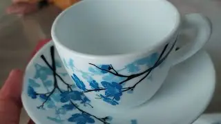 BOROSIL opalware mimosa 6 pcs cup saucer set {cup 140ml (6 pcs ) saucer 135 mm (6 pcs )}