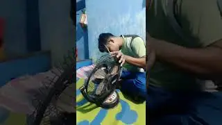 Table fan fitting and repairing karna sikhe #live #livestream #repair #fitting #viral  #fans 