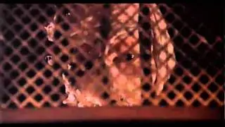 Darkman-Faceless