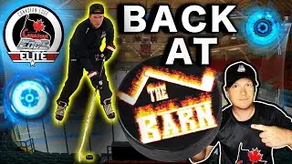 BACK AT THE BARN - DANGLES, SNIPES & STRIDES